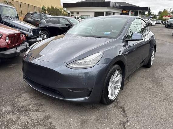 TESLA MODEL Y 2021 5YJYGDEE7MF146770 image